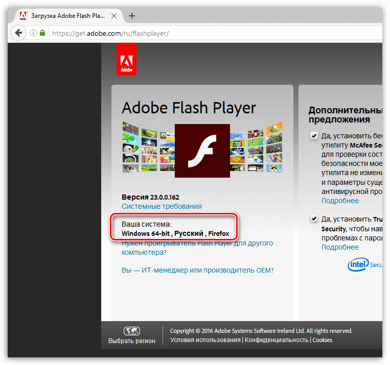 how to manually update adobe flash player