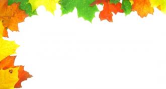 Autumn photo effects, frames, collages and cards online